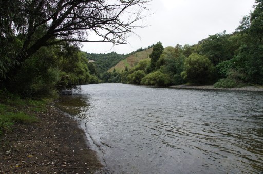 Otunui_Riverboat Landing_1.JPG